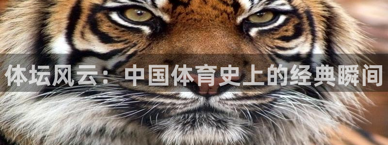 上海悟空体育：体坛风云：中国体育史上的经典瞬间
