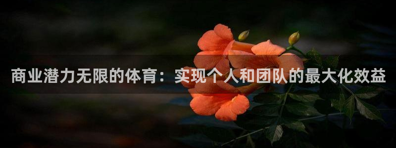 悟空体育是正品吗：商业潜力无限的体育：实现个人和团队的最大化效益