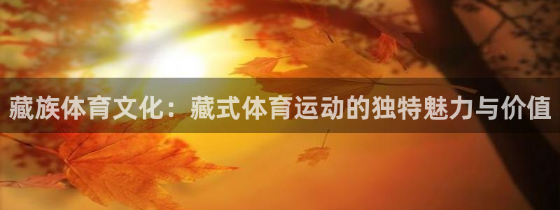 悟空体育莆田鞋怎么样