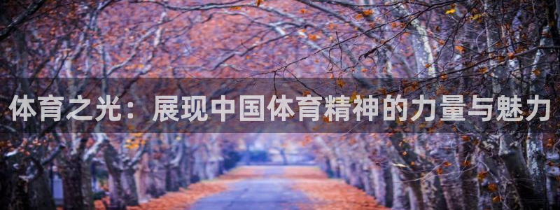 悟空体育官网快速入口