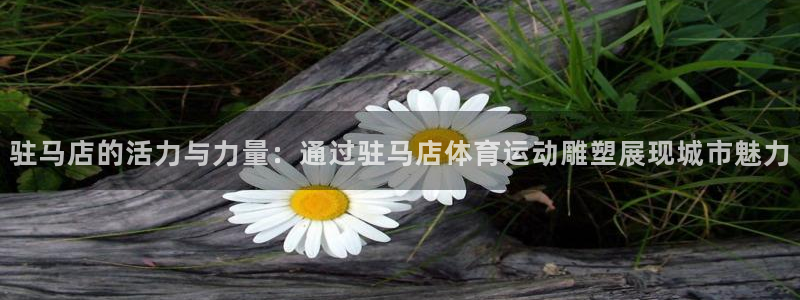 悟空体育莆田