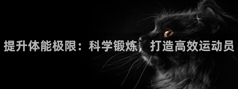 悟空体育官网快速入口