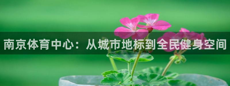 悟空体育之家：南京体育中心：从城市地标到全民健身空间