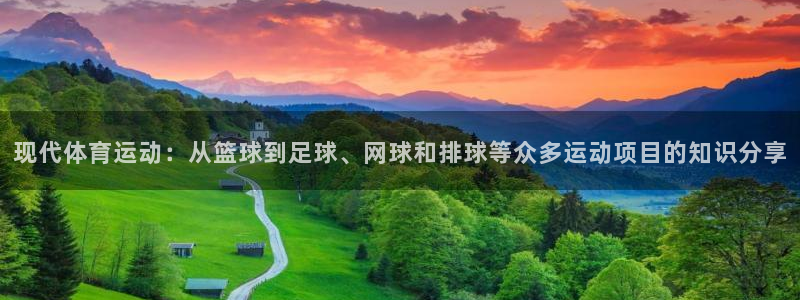 悟空体育网站官网入口手机版：现代体育运动：从篮球到足球、网球和排球等众多运动项目的知识分享