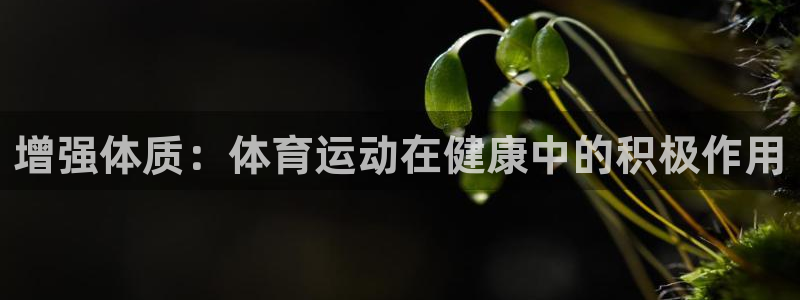 悟空体育网页版官网