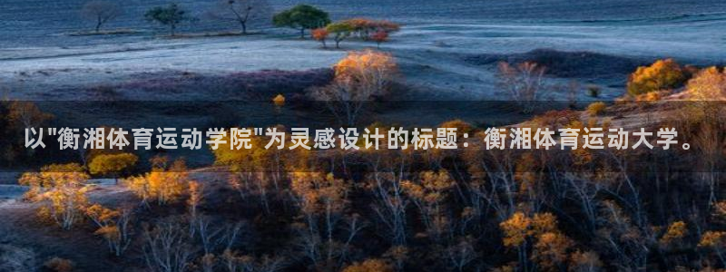 悟空体育网站官网入口手机版